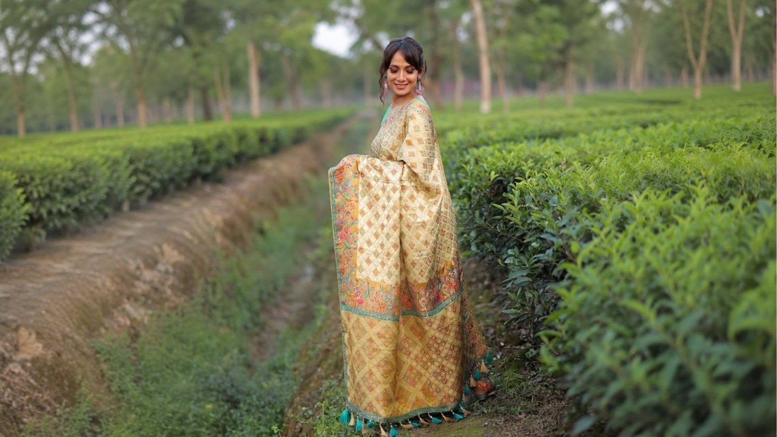 Saree Collection
